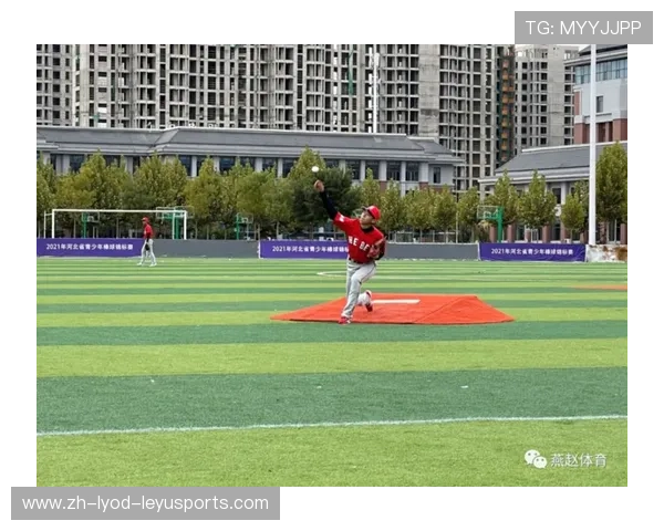 青少年棒球运动员核心素养培养路径及成长模型 青少年棒球运动员核心素养培养路径及成长模型