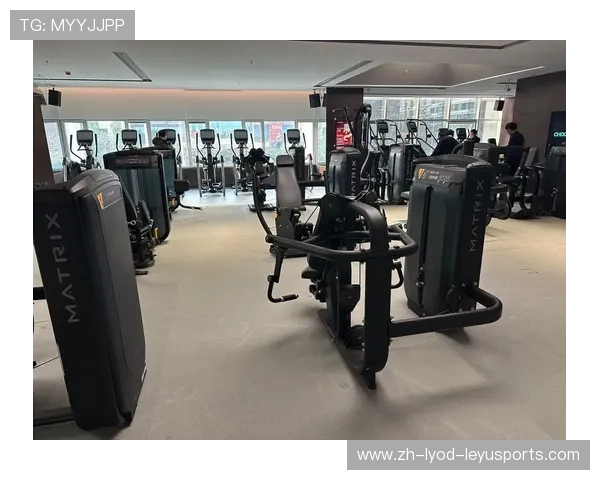 美国健身器材的特点与选购指南：为何美国的健身器材在全球市场中占据领先地位？